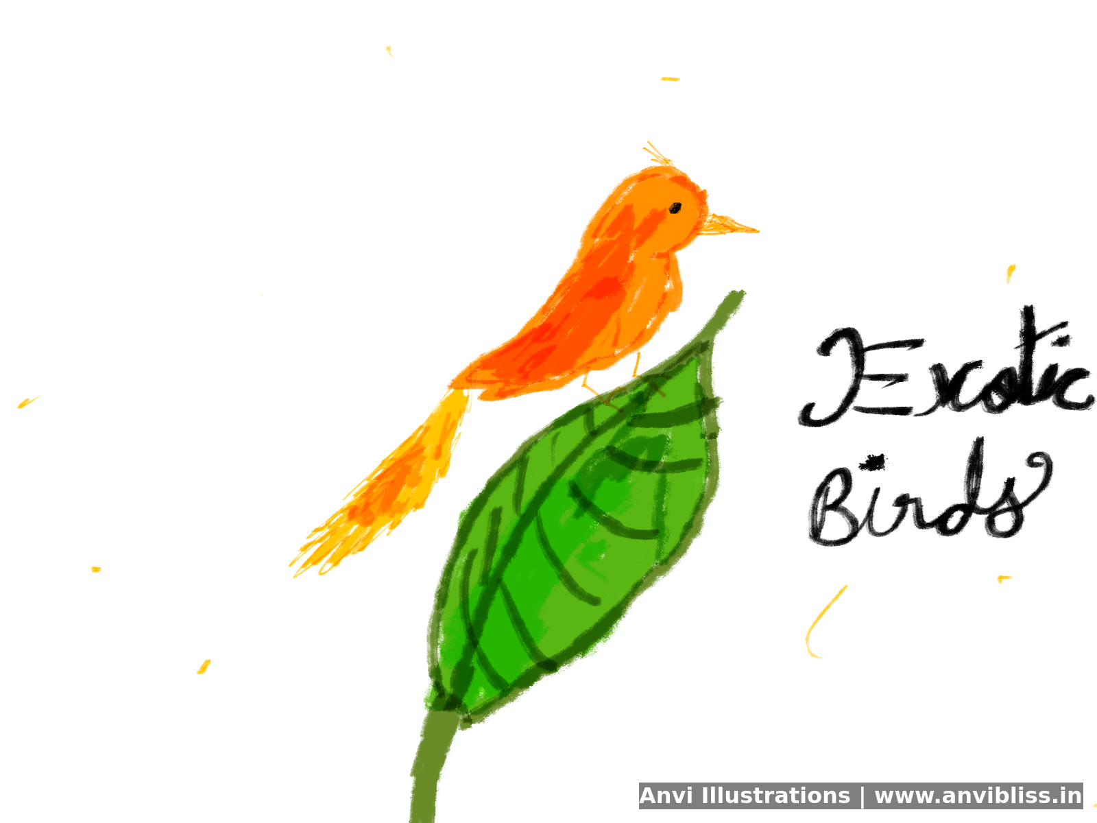 Handmade illustration by Anvi